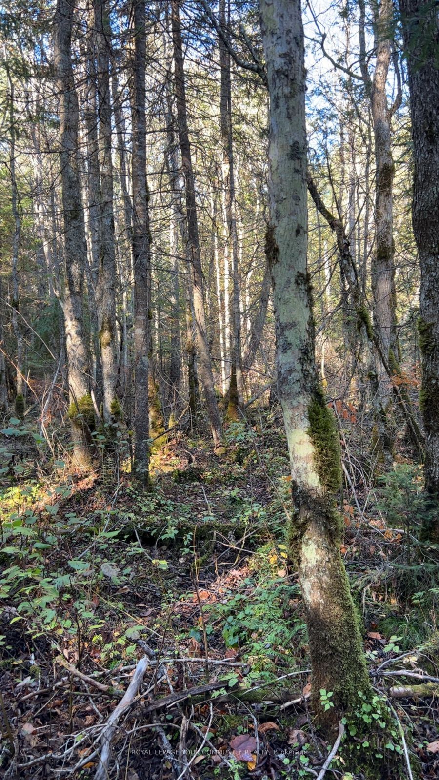Con 1 Lot 4 in Bancroft, Ontario