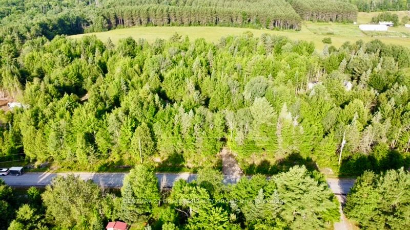 5280 Boulter Road in Carlow/Mayo, Ontario