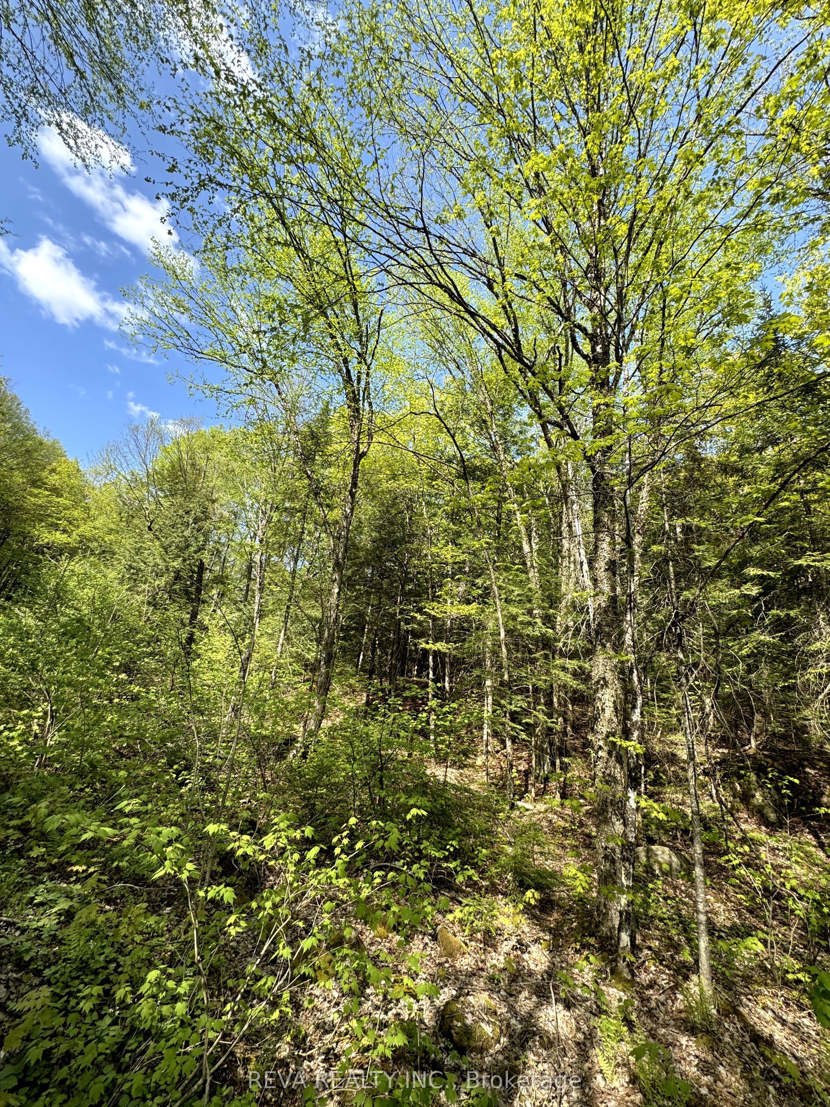 0 Salmon Trout Lake Road in Hastings Highlands, Ontario