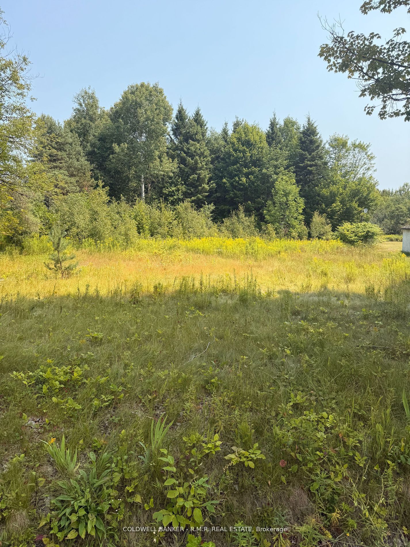 3995 Boulter Road in Carlow/Mayo, Ontario