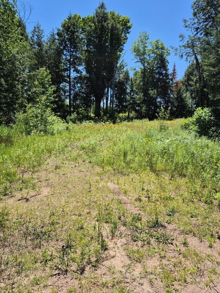 Lot 15 North Steenburg Lake Road in Wollaston, Ontario