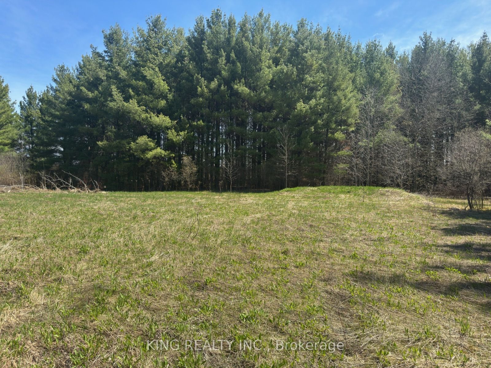 6081 Hwy 89, Clifford Road in Minto, Ontario