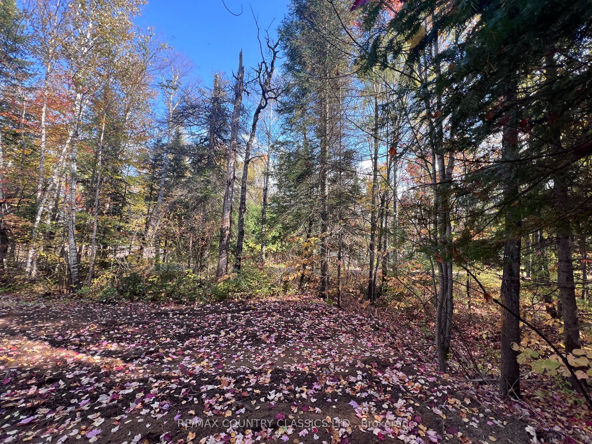 0 High Bush Road in Hastings Highlands, Ontario