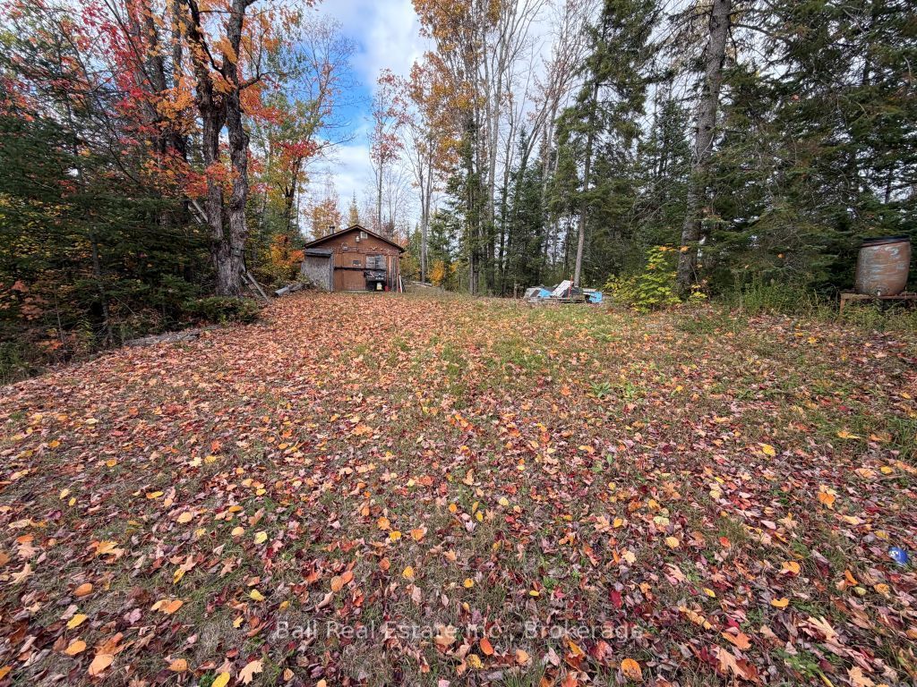 23226 Highway 62 Highway in Limerick, Ontario