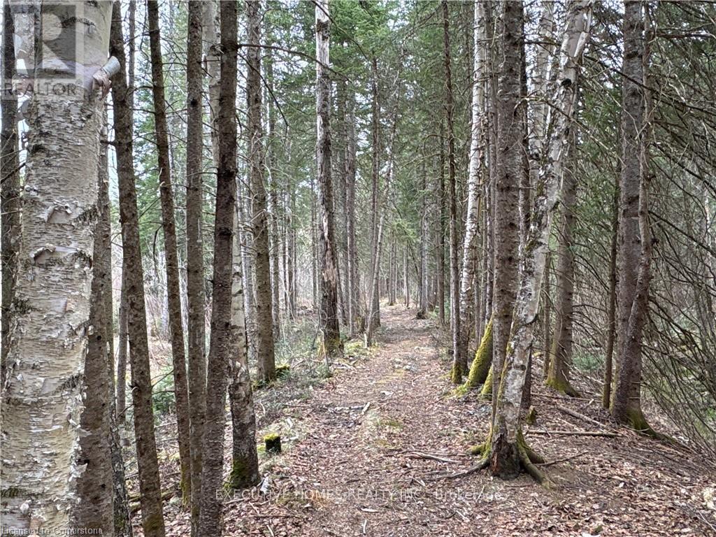 1014 BULRUSH Trail, Highlands East in Highlands East, Ontario
