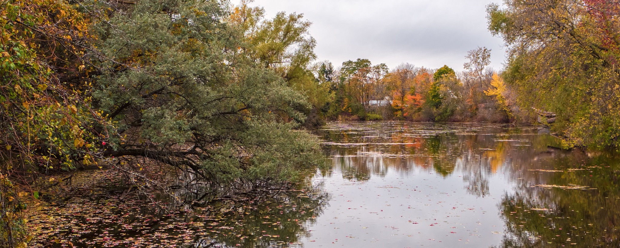 Autumn trees reflected in the Credit River in Erin, Ontario, with a distant home beyond the water