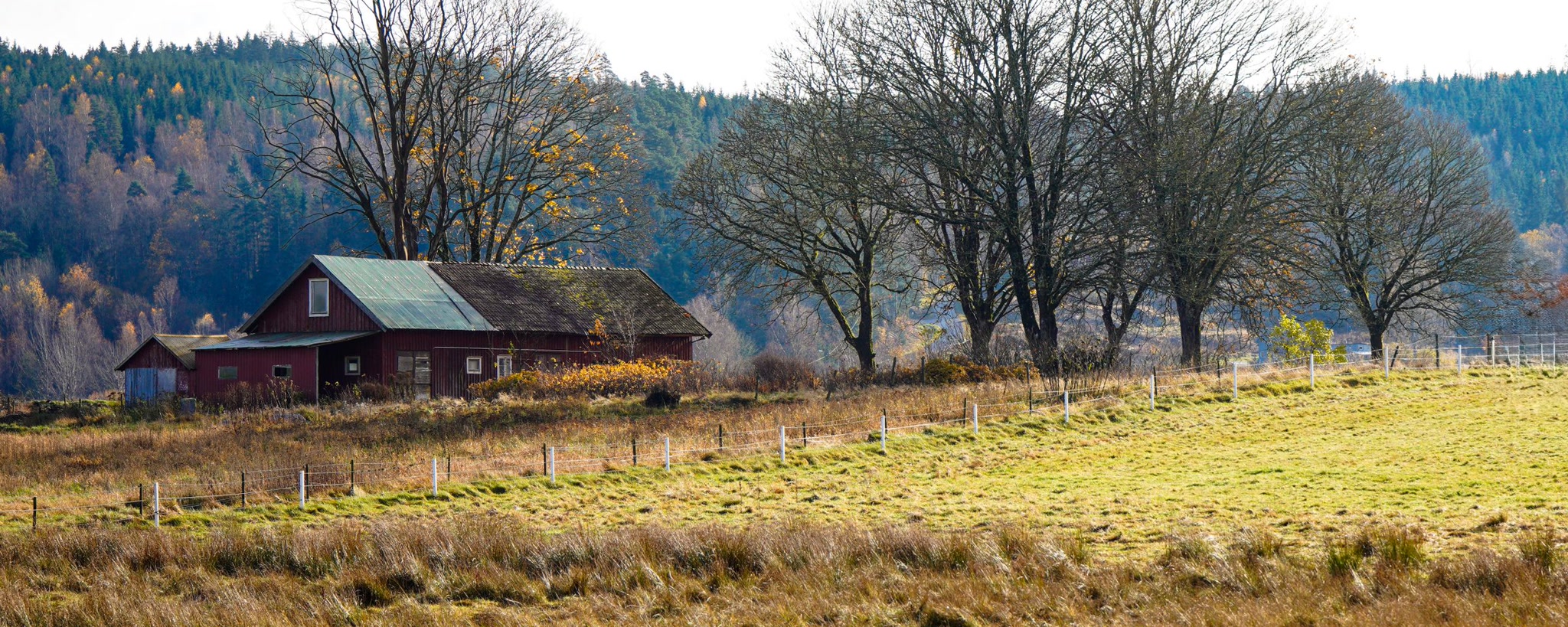 A rural farmhouse and fields in an autumn landscape, used as illustrative editorial imagery