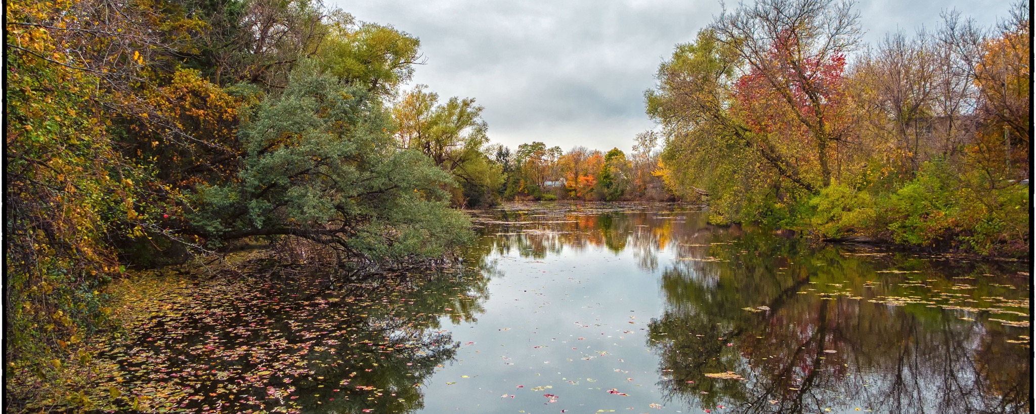 Credit River surrounded by autumn trees at Charles Street in Erin, Ontario